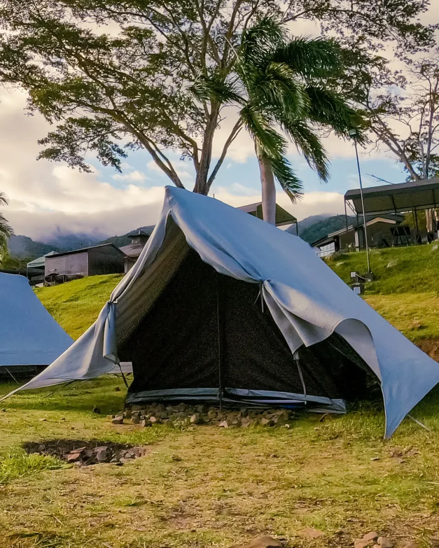 Camping Élite (Hasta 6 personas)