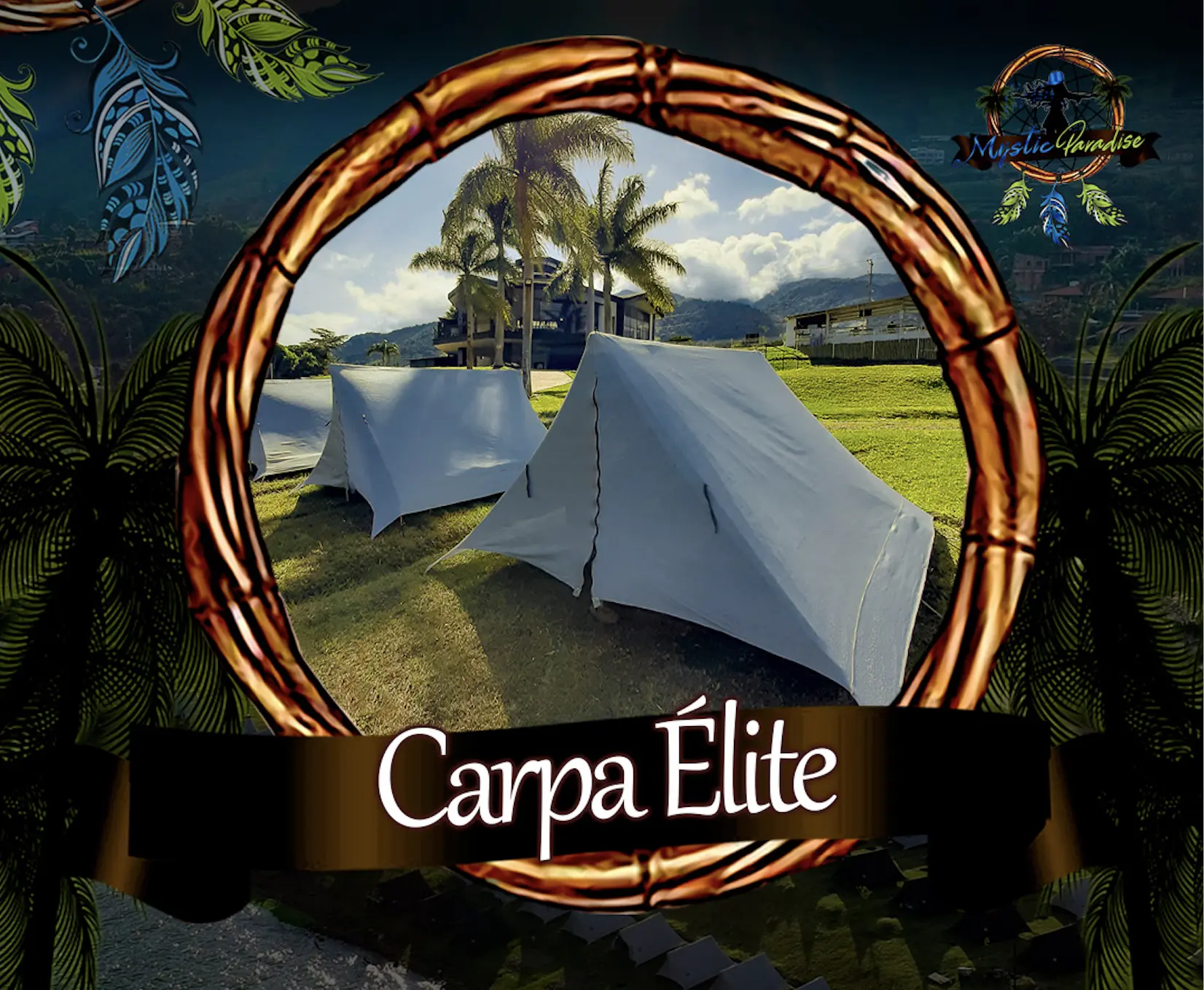 Tipo de Alojamiento: <span>carpa</span>